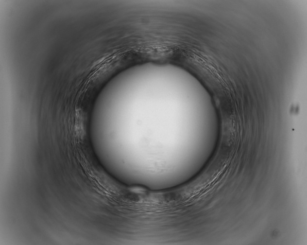 X0000101231058200806271506