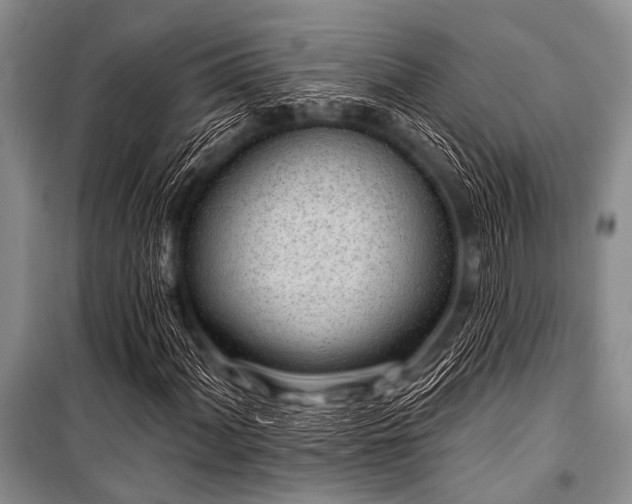 X0000101231060200806271506