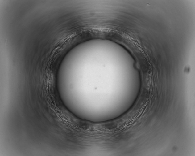 X0000101231061200806271506