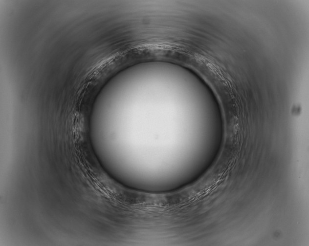 X0000101231062200806271506