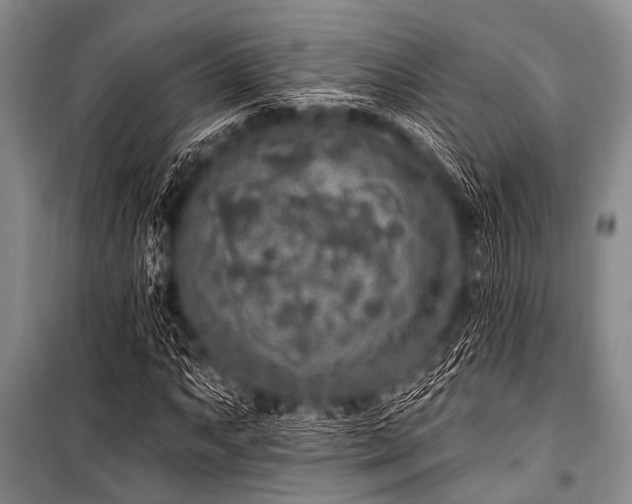 X0000101231063200806271506
