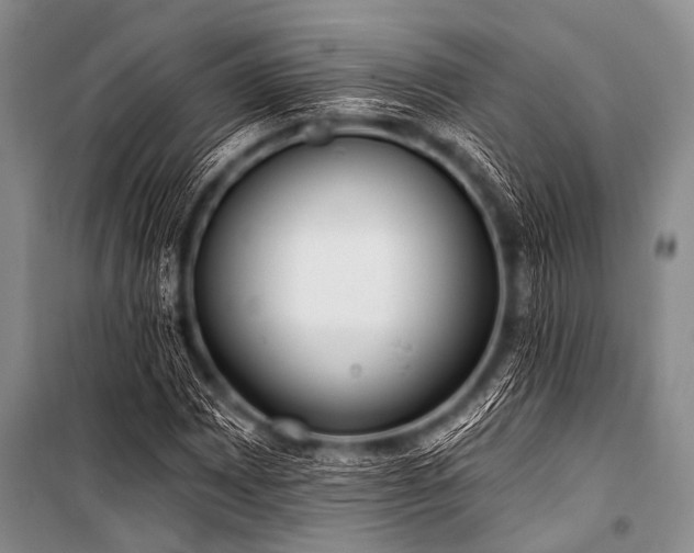 X0000101231065200806271506