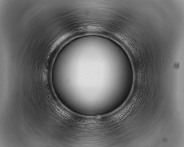 X0000101231066200806271506