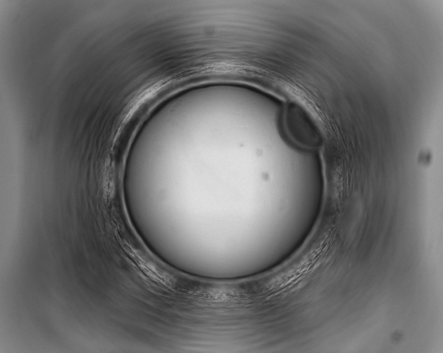 X0000101231067200806271506