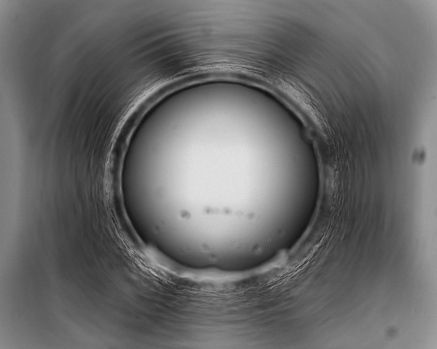 X0000101231068200806271506