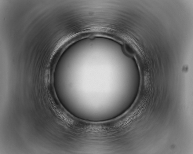 X0000101231069200806271506
