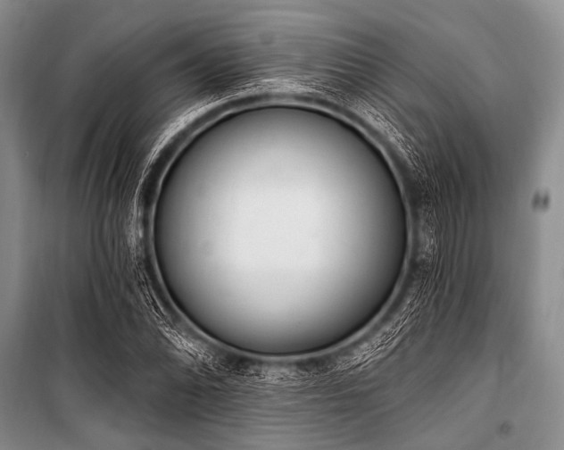 X0000101231070200806271506