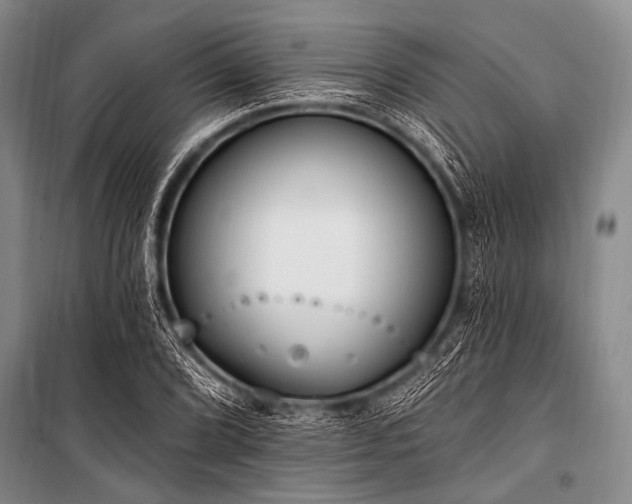 X0000101231072200806271506