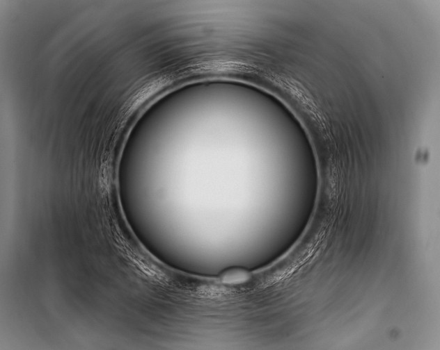 X0000101231073200806271506