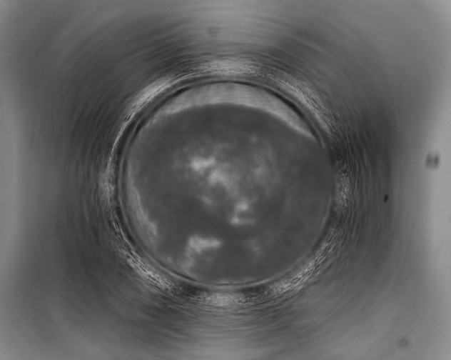 X0000101231074200806271506