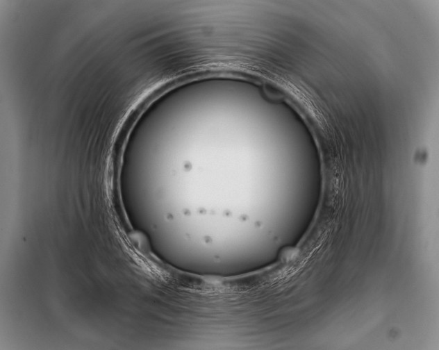 X0000101231076200806271506