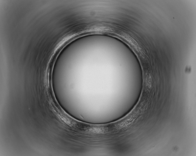 X0000101231078200806271506