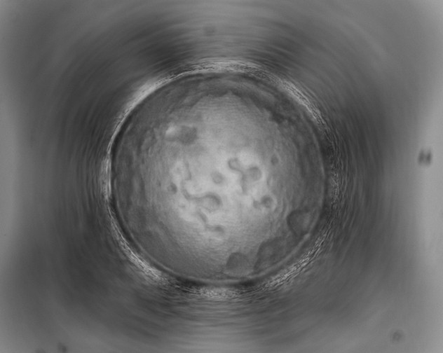 X0000101231079200806271506