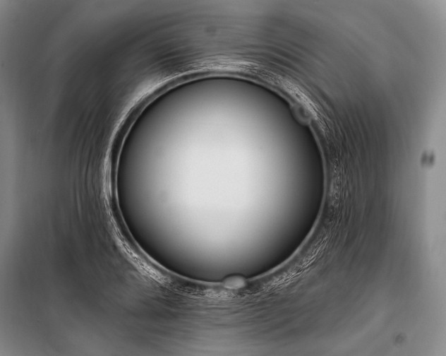 X0000101231080200806271506