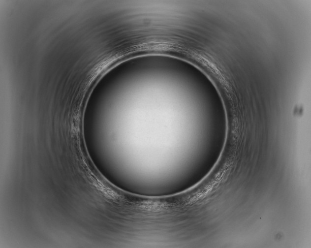 X0000101231081200806271506