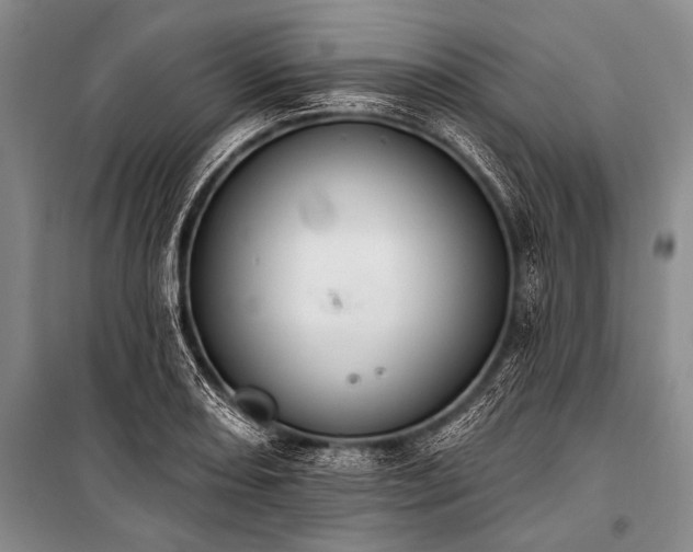 X0000101231082200806271506