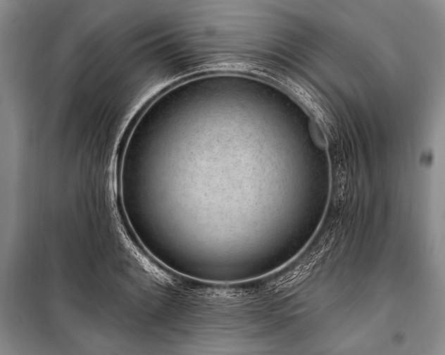 X0000101231084200806271506