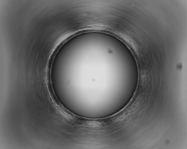 X0000101231085200806271506