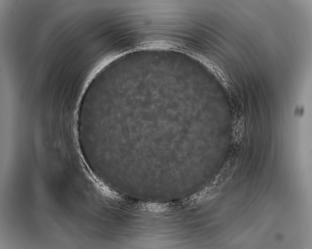 X0000101231086200806271506