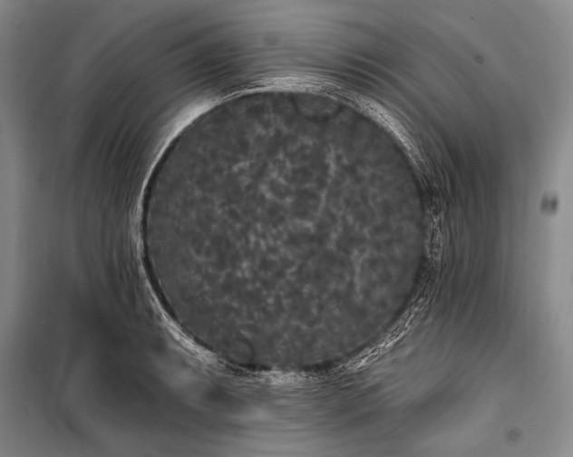 X0000101231087200806271506
