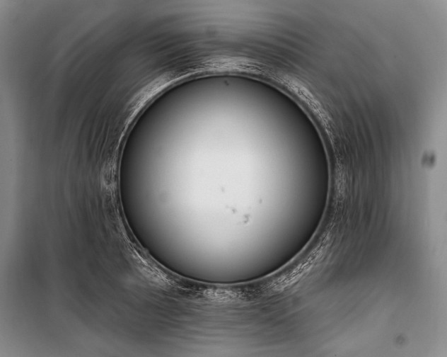 X0000101231089200806271506