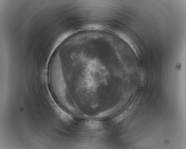 X0000101231090200806271506