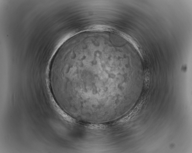 X0000101231091200806271506