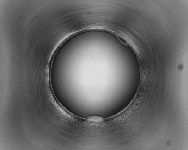 X0000101231092200806271506