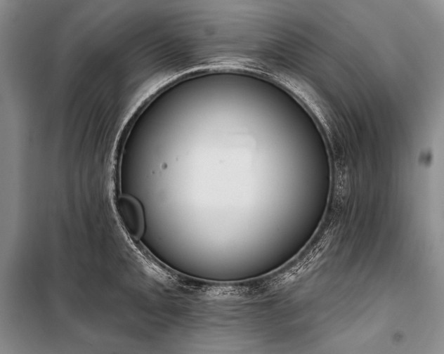 X0000101231093200806271506