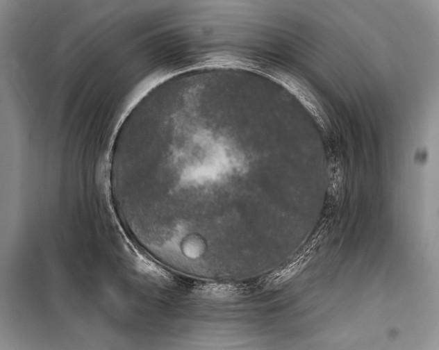 X0000101231094200806271506