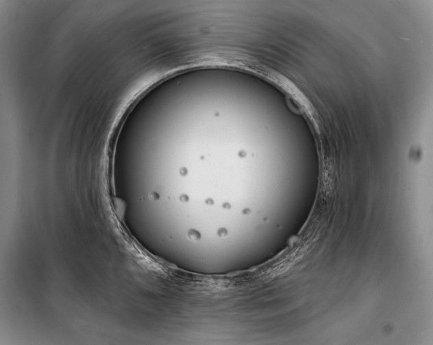X0000101231096200806271505