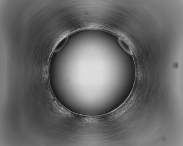 X0000101231097200806271505
