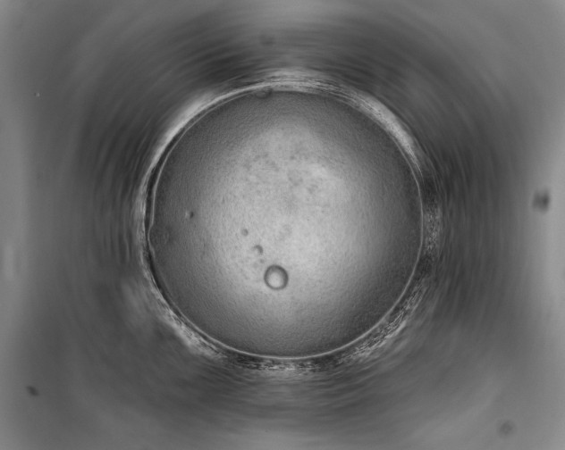 X0000101231099200806271505