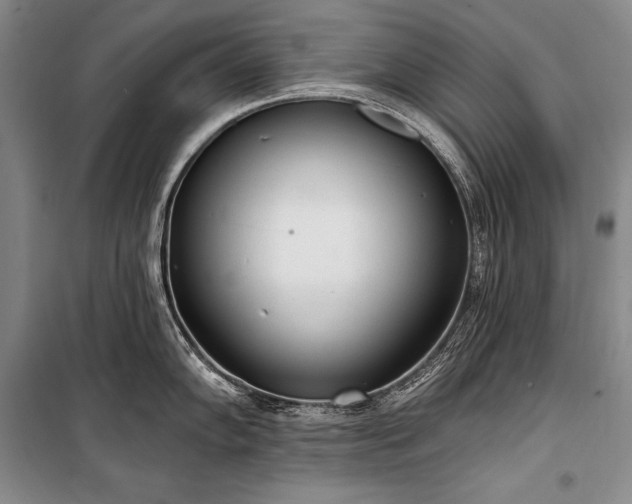 X0000101231102200806271505
