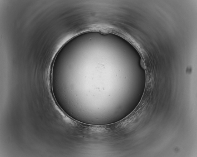 X0000101231103200806271505