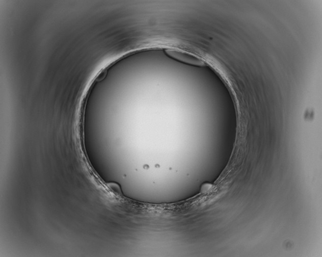 X0000101231104200806271505