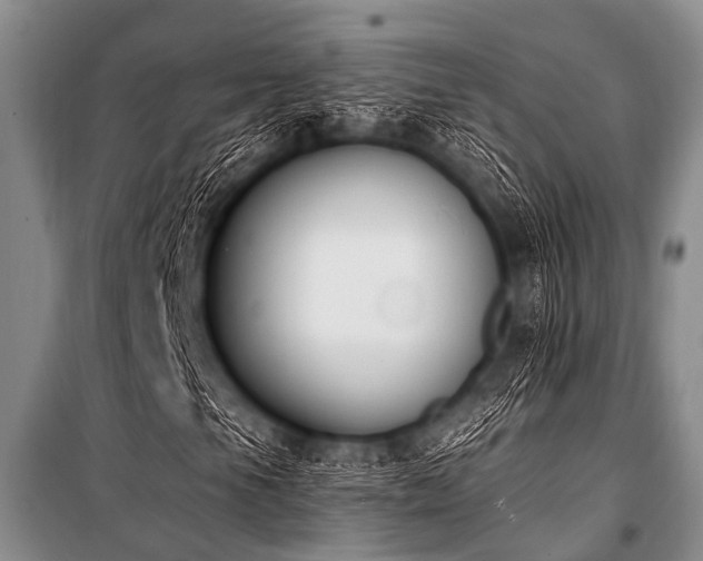 X0000101231105200806271505