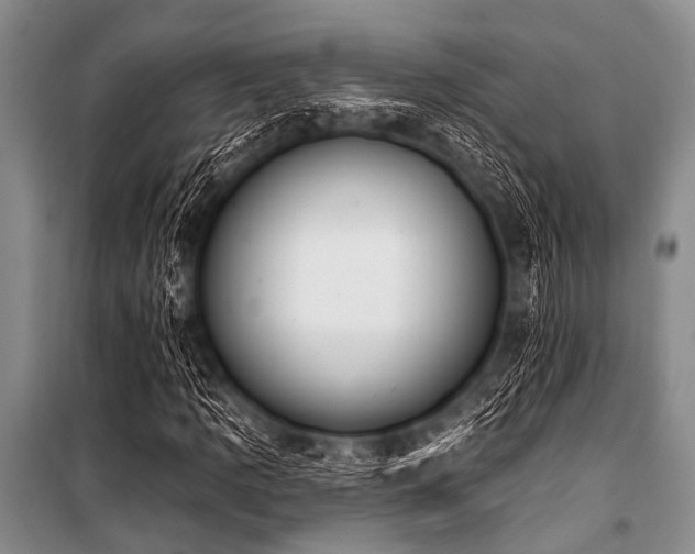 X0000101231109200806271505
