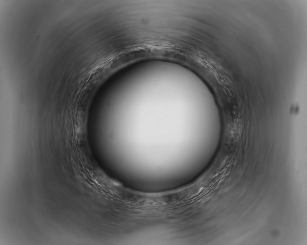 X0000101231110200806271505