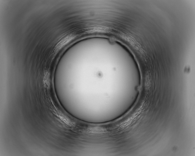 X0000101231113200806271505