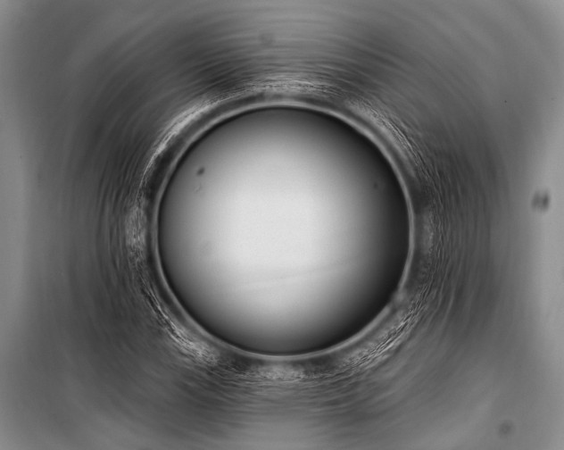 X0000101231115200806271505