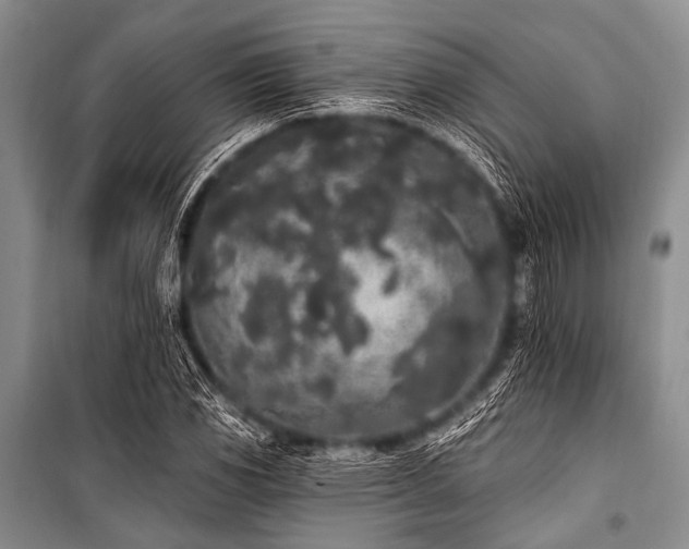 X0000101231117200806271505