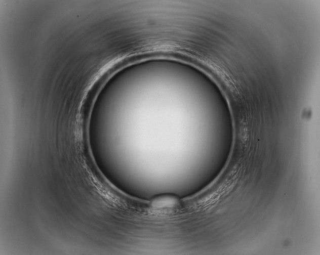 X0000101231118200806271505