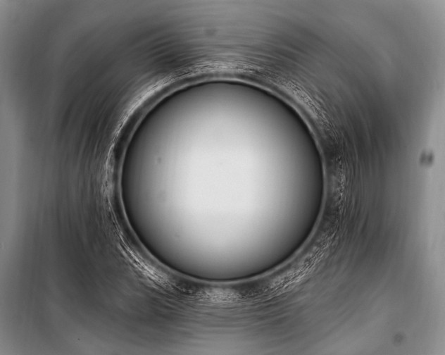 X0000101231119200806271505