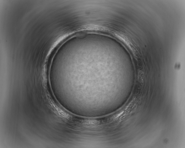X0000101231120200806271505