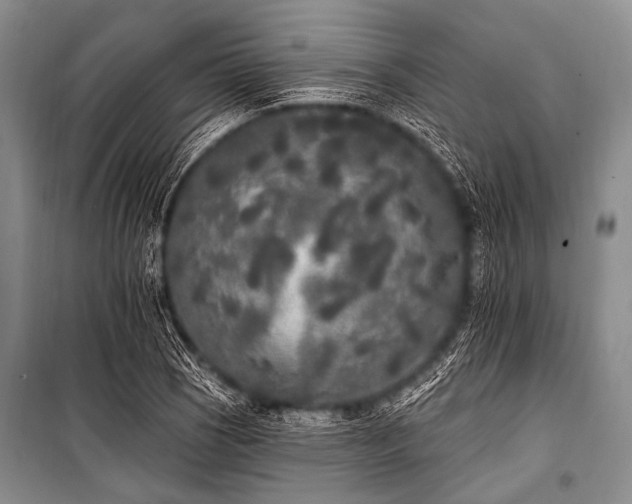 X0000101231121200806271505
