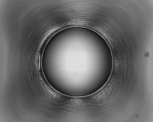 X0000101231123200806271505