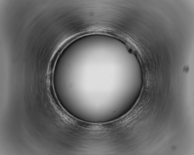 X0000101231124200806271505