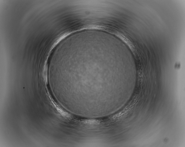 X0000101231127200806271505