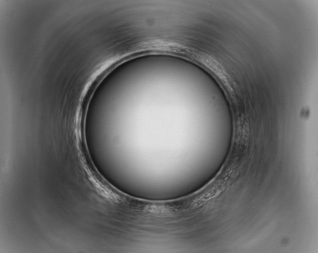 X0000101231128200806271505